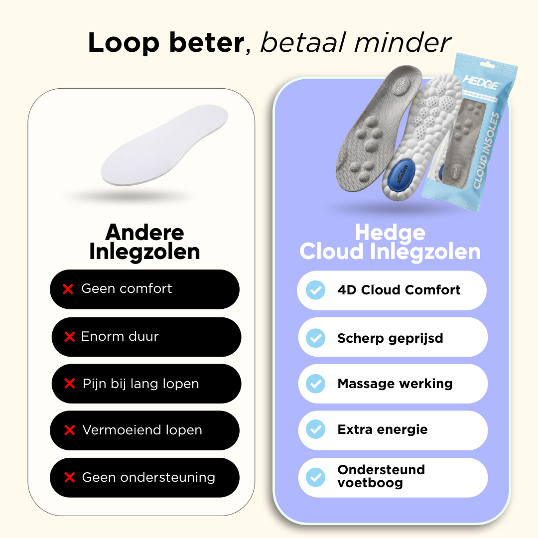 Cloud inlegzolen