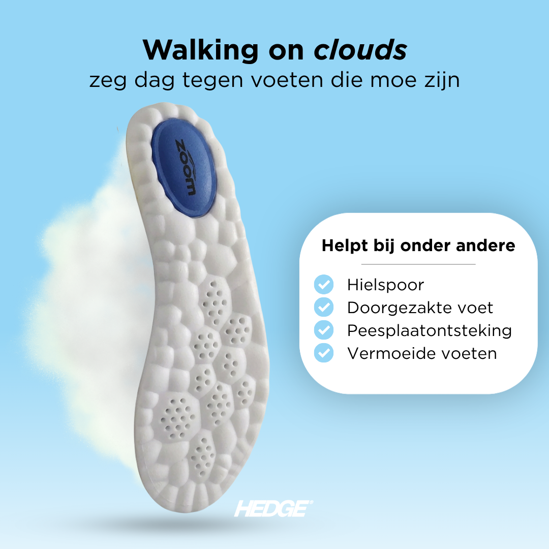 Cloud inlegzolen