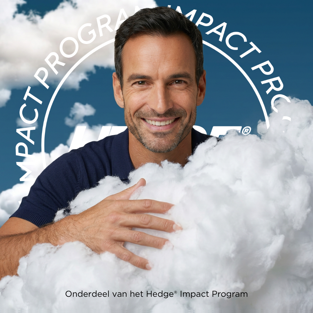 Cloud inlegzolen